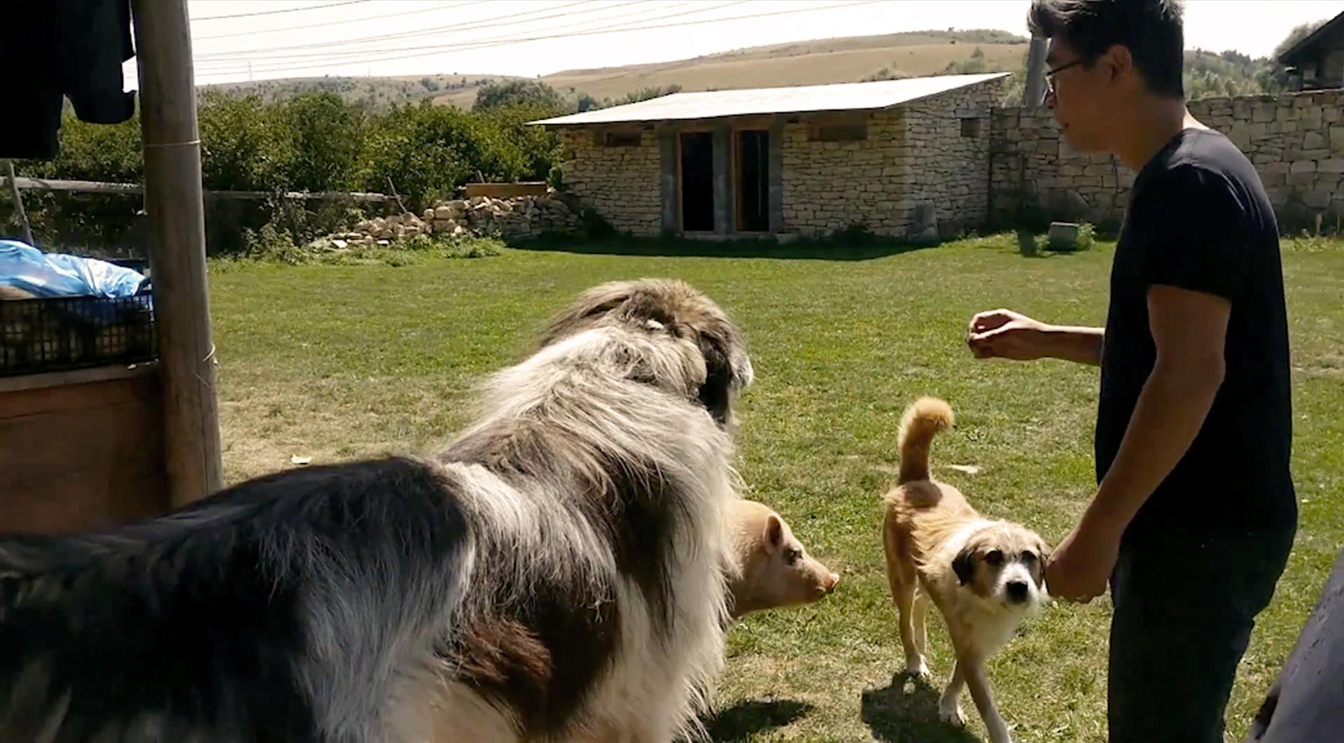 Sid surrounded by local animals